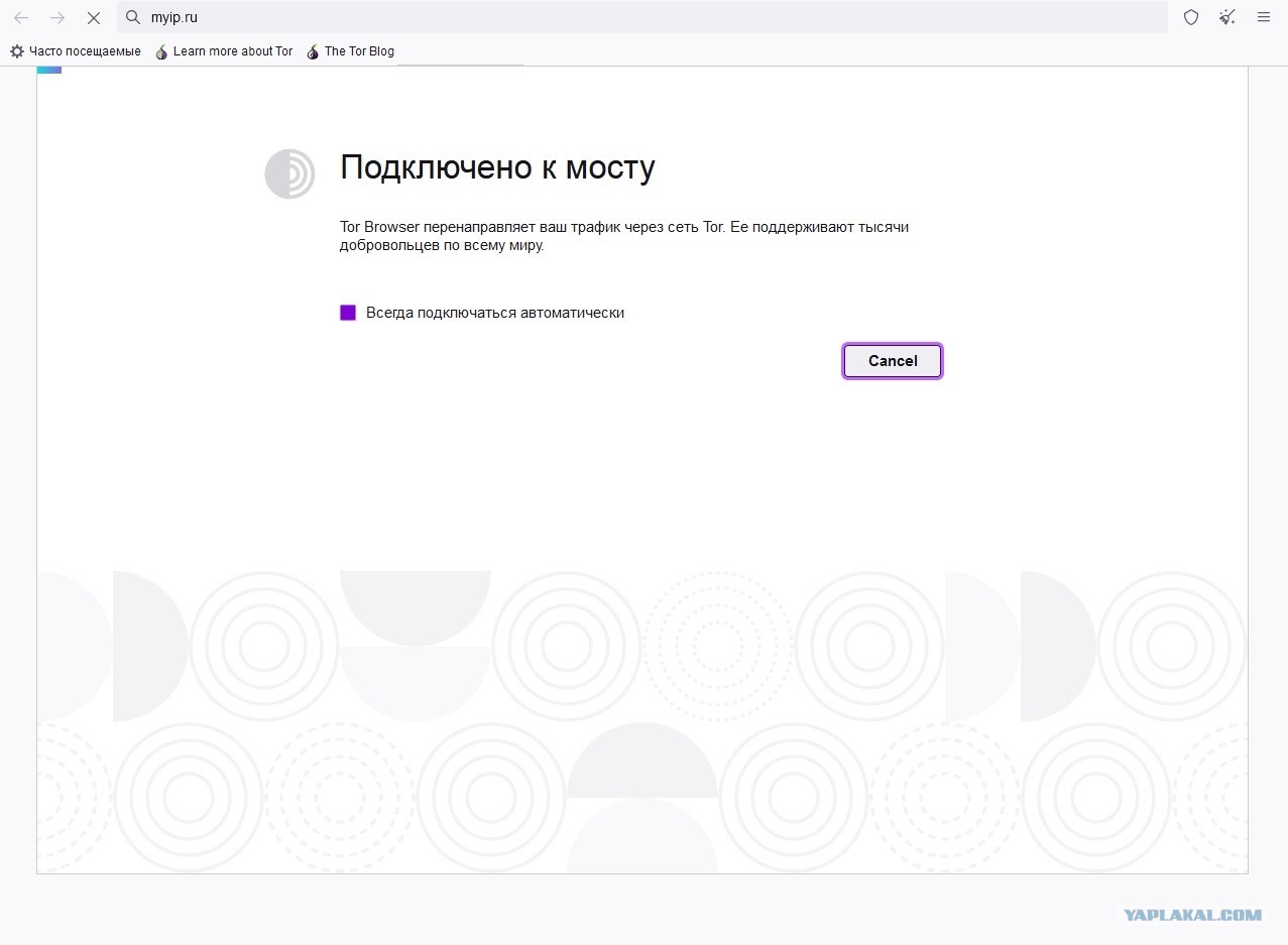 Зайти на кракен тор