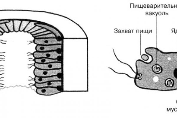 Кракен наркота что это