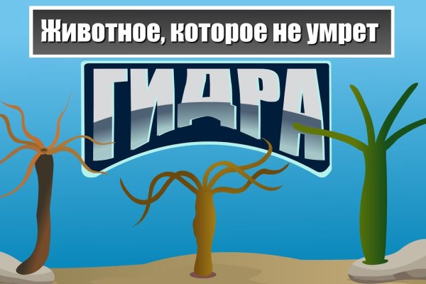 Кракен оригинальные ссылка в тор