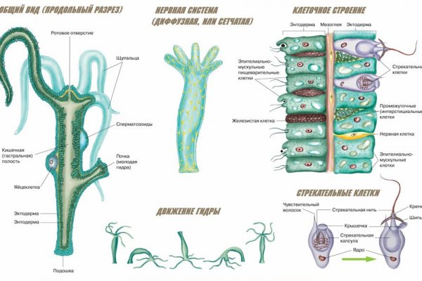 Kraken адрес onion